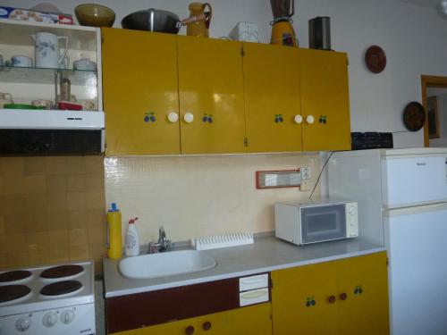 Kuchyňa alebo kuchynka v ubytovaní Apartman (Byt) Klasterni