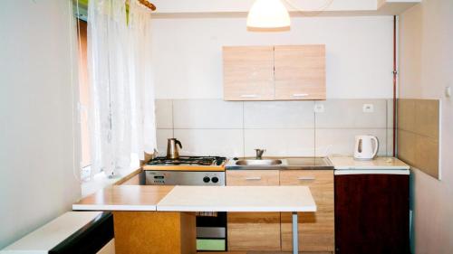eine kleine Küche mit einer Spüle und einem Herd in der Unterkunft Apartament Studio - Mehoffera 1 in Zabrze