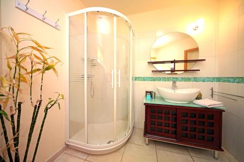 une salle de bain avec douche et lavabo dans l'établissement Domaine 3 Soleils, à Labastide-de-Lévis