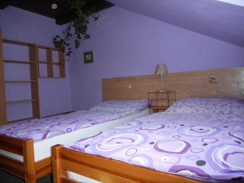 2 camas individuales en un dormitorio con paredes moradas en Penzion U Lesa, en České Budějovice