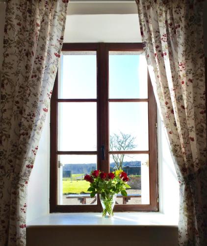 a vase of flowers sitting on a window sill at L'Auberdiere in Saint-Jean-des-Essartiers