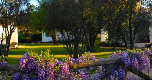 Zahrada ubytování Agriturismo Li Scopi