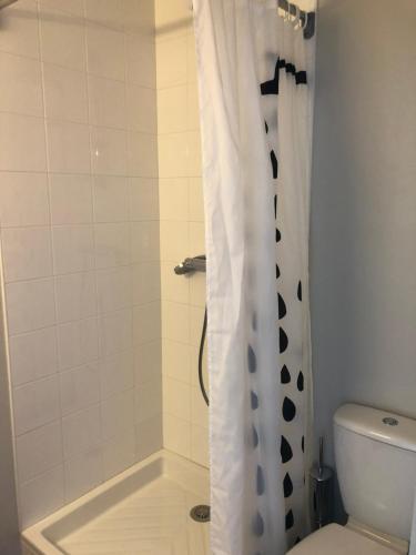 a bathroom with a shower curtain and a toilet at La Hourquie Café in Morlaas