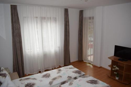 a living room with a bed and a television at Apartament Trei Stejari in Sibiu