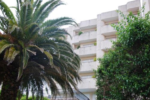 a tall building with palm trees in front of it at Apartamentos Sanxenxo in Sanxenxo