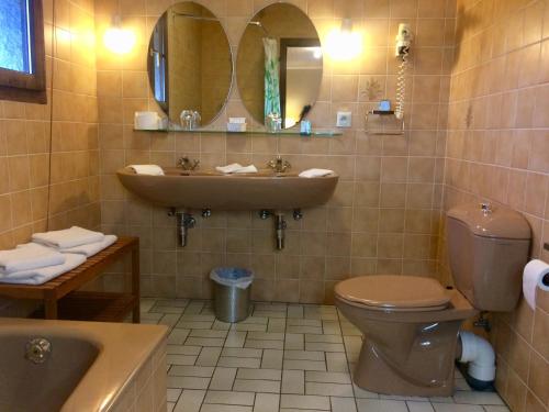 a bathroom with a sink and a toilet and a mirror at Hotel La Venerie in Virton