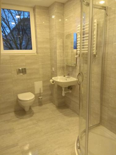 a bathroom with a shower and a toilet and a sink at BB CONSUL in Łódź