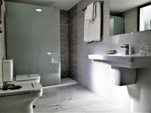 een badkamer met een wastafel en een toilet bij Hotel Averroes in Córdoba