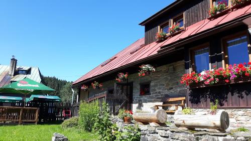 a building with flower boxes on the side of it at Pension Arnika in Modrava