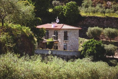 Φυσικό τοπίο κοντά σε αυτή η βίλα