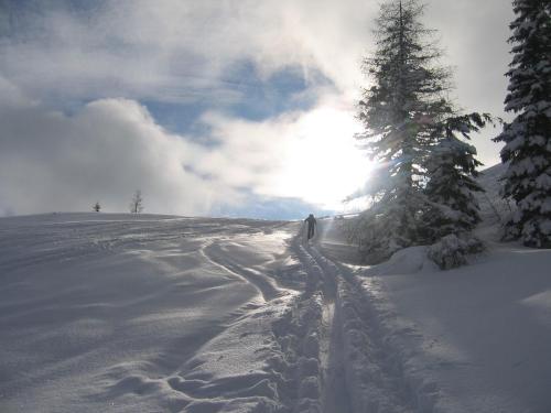 a person is walking down a snow covered slope at Pension Vocario in Pfarrwerfen