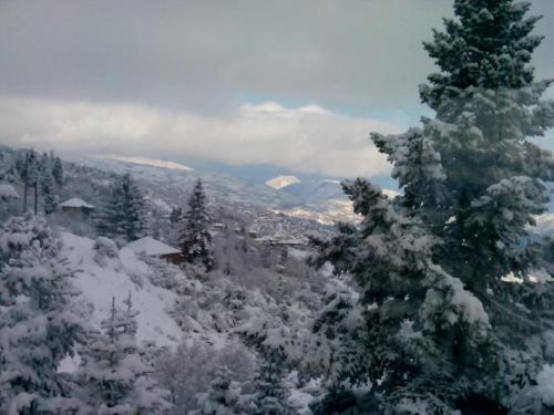 a snow covered forest with trees and mountains at Elatos cozy Studio in Ano Trikala