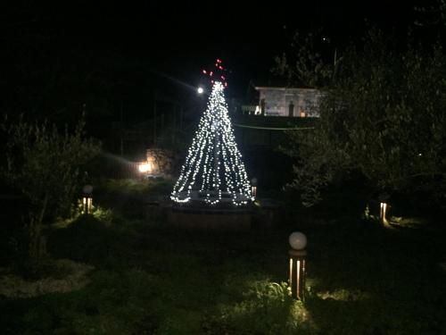 Κήπος έξω από το Casa Monte Etna