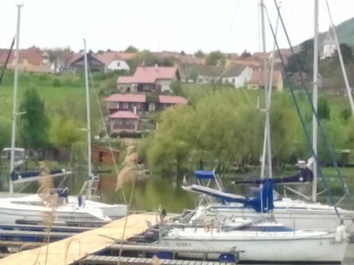a group of boats are docked in a marina at Penzion Nad jezerem in Pavlov