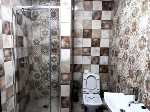 a bathroom with a toilet and a sink and a shower at Solo Apartment Kamenskaya in Kyiv