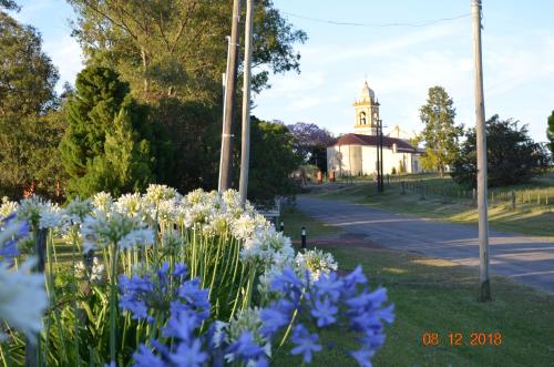 a field of blue flowers with a building in the background at CABAÑA LA TOSCANA in Carmelo