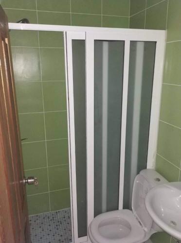 a green bathroom with a toilet and a sink at Domus Guesthouse in Santana