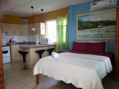 Gallery image of AQUA POINT CONDOS RENTALs in Bocas Town