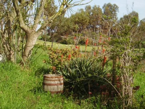 Κήπος έξω από το Agriturismo Cuile de Molino