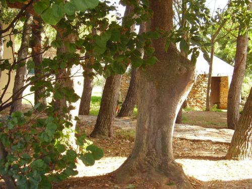 Κήπος έξω από το Agriturismo Cuile de Molino