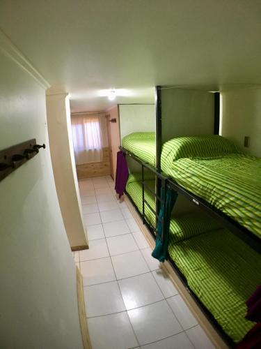 two bunk beds in a small room with a hallway at Gecko Hostel in Pucón