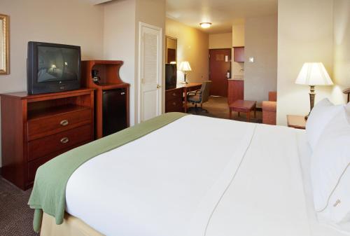 a hotel room with a bed and a television at Holiday Inn Express- West Sacramento by IHG in West Sacramento