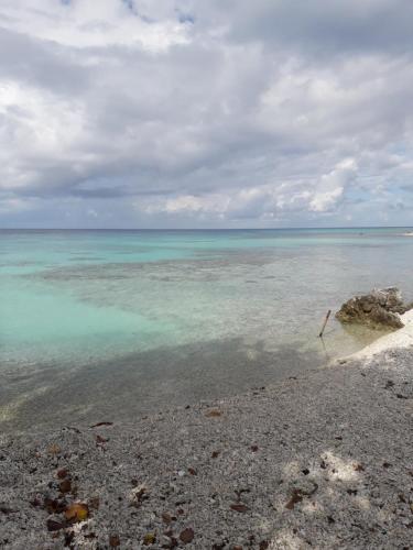 a view of the ocean from the beach at Chez Taia et Véro in Tiputa