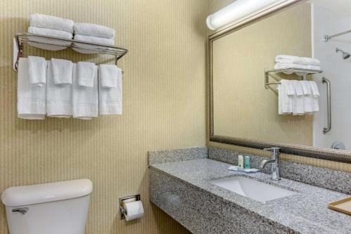 a bathroom with a sink and a mirror and a toilet at Quality Inn & Suites Oceanside Near Camp Pendleton in Oceanside