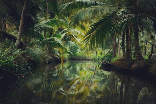 a painting of a river with palm trees and a boat at Munroe Meadows in Munroe Island