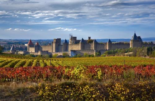 a castle on a hill with a field of grapes at Bed & Breakfast Demeure du Pareur in Villeneuve-Minervois