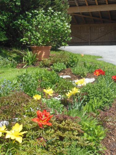a garden with colorful flowers in a yard at Haus Schönleiten in Wagrain