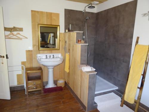 a bathroom with a sink and a shower at LA BELLE D'ANTAN in Saint-Bonnet-en-Bresse