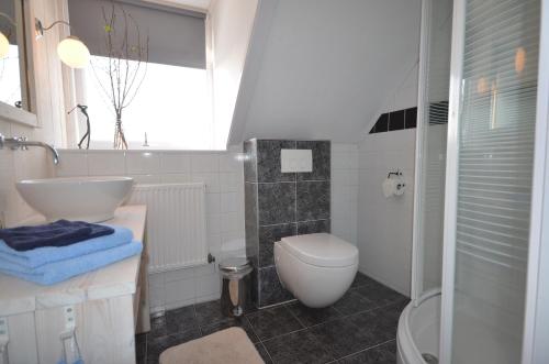 een badkamer met een toilet, een wastafel en een douche bij Zeevanlicht in Hollum