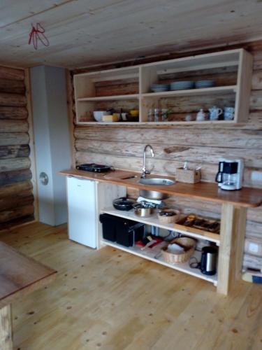 a kitchen with a counter and a sink in a room at Reiterhof Mühlbauer in Grattersdorf