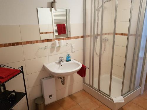 ein Bad mit einem Waschbecken und einer Dusche in der Unterkunft Apartments Haupt in Kobern-Gondorf