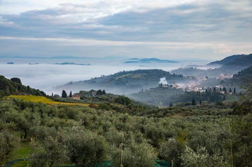 Podere Midolla – Photos 4