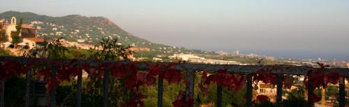 a fence with a mountain in the background at B&B Premium in Premia de Dalt