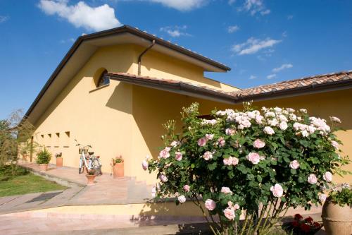 a building with a bush of pink roses at Le Macerine in Castiglione del Lago