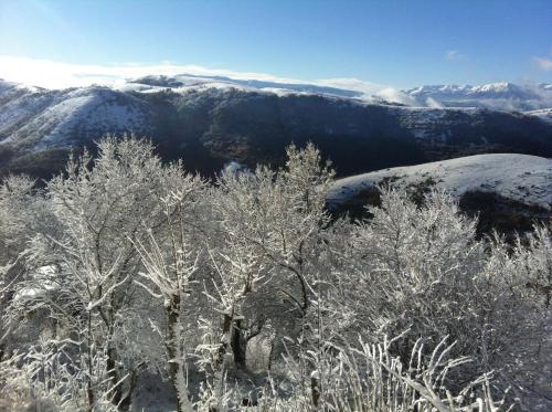 a group of trees covered in snow on a mountain at Residenza La Torre in Santo Stefano di Sessanio