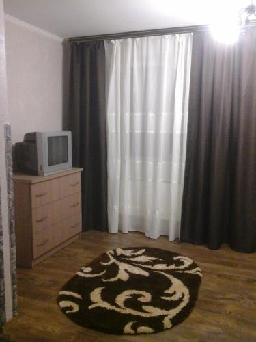 sala de estar con TV y alfombra en Нова квартира, en Ivano-Frankivsk