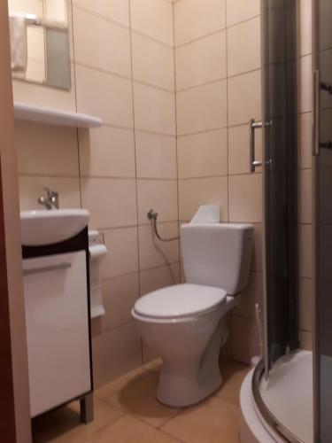 a bathroom with a toilet and a sink at Zajazd Podzamcze in Fałków