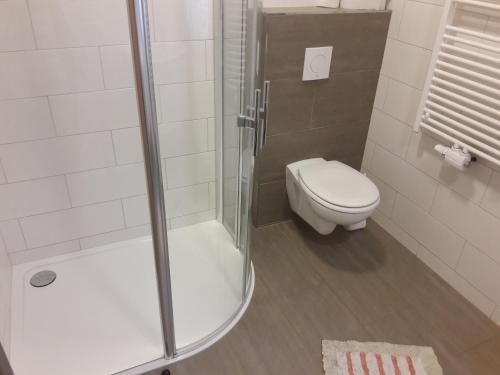 a bathroom with a shower and a toilet in it at Ferienwohnung Kupfer in Göstling an der Ybbs