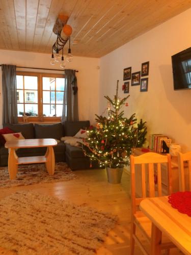 a living room with a christmas tree and a couch at Ciche Pole in Maniowy