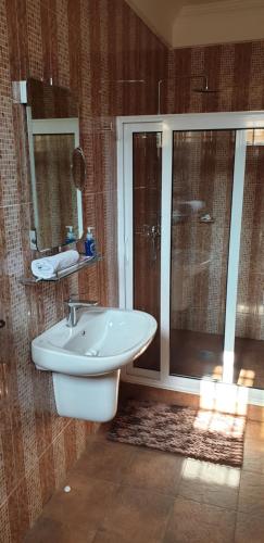 a bathroom with a white sink and a shower at Homey Lodge in Kumasi