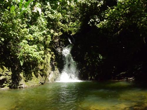 a waterfall in the middle of a river at Pacuare River Lodge in Bajo Tigre