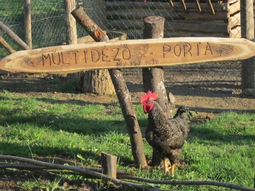 a chicken standing in the grass next to a sign at Múltidéző Porta - Népi Műemlék Házak az Őrségben in Szalafő