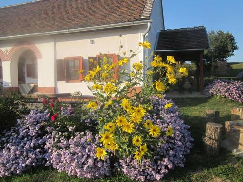 a garden of flowers in front of a house at Múltidéző Porta - Népi Műemlék Házak az Őrségben in Szalafő