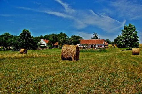 a field with hay bales in front of a house at Múltidéző Porta - Népi Műemlék Házak az Őrségben in Szalafő