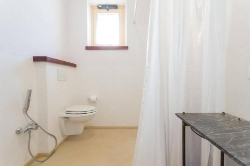a bathroom with a toilet and a shower curtain at Villa Costanzi: Beautiful Rural Apartment! in Sigillo