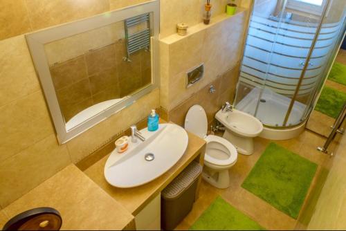 a bathroom with a sink and a toilet and a mirror at Zuzu’s home in Râşnov
